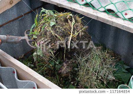 Gardening Fork Lifting Compost in a Backyard Garden 117164854
