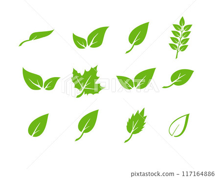 Green leaf icons set. Elements design for natural, eco, vegan. Leaves icon on isolated background. Collection green leaf. Vector Green leaf icons set. Elements design for natural, eco, vegan. Leaves icon on isolated background. Collection green leaf. Vector 117164886