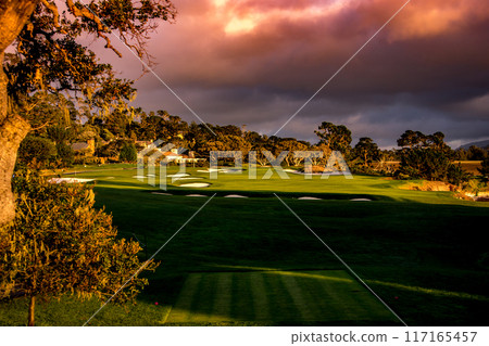 Pebble Beach golf course, Monterey, California, usa 117165457