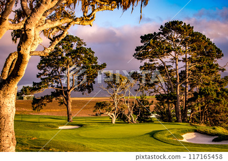 Pebble Beach golf course, Monterey, California, usa 117165458