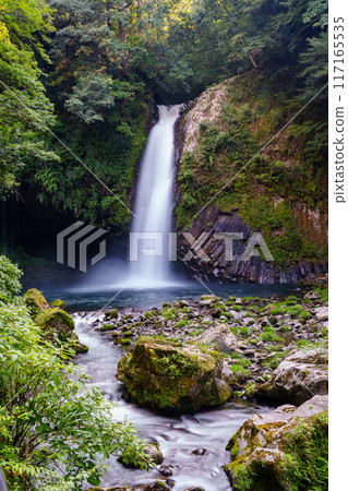 [靜岡縣] 天城/淨蓮瀑布 117165535