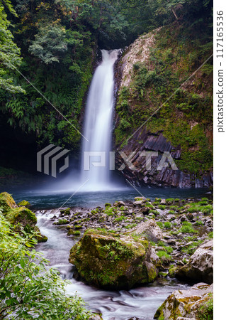 [Shizuoka Prefecture] Amagi Joren Falls 117165536