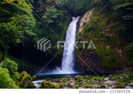 [Shizuoka Prefecture] Amagi Joren Falls 117165539