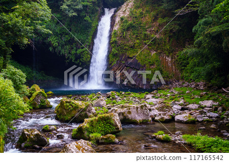 [靜岡縣] 天城/淨蓮瀑布 117165542