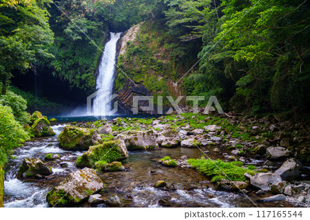 [Shizuoka Prefecture] Amagi Joren Falls 117165544