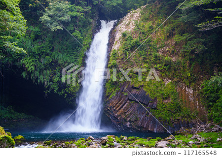 [Shizuoka Prefecture] Amagi Joren Falls 117165548