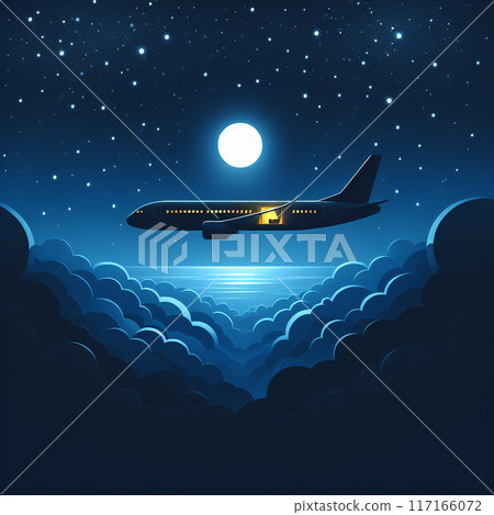 星空和月光下的夜間飛行 117166072