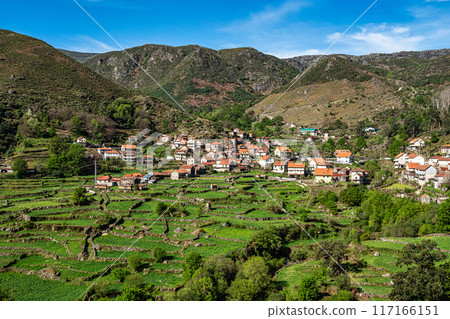 Small village of Roucas with its traditional agricultural, terraced fields at the Peneda Geres National Park in Portugal 117166151