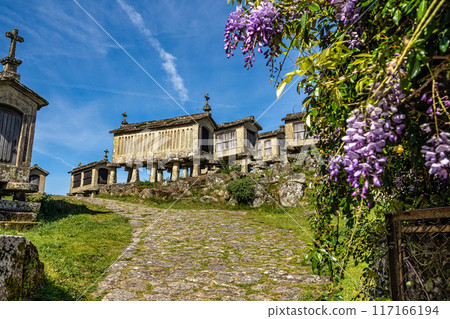 The communitarian granaries, called espigueiros, in the village of Lindoso, Peneda National Park, Northern Portugal 117166194