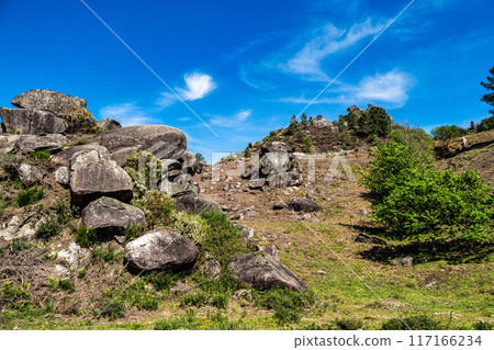 Landscape view of the Peneda Geres National Park in Portugal. Area betweeen Cabril und Ruivaes Landscape view of the Peneda Geres National Park in Portugal. Area betweeen Cabril und Ruivaes 117166234