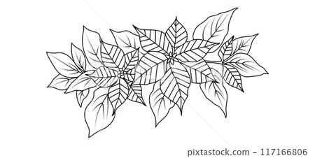 Poinsettia flower arrangement line art on white background. Silhouette botanical hand drawn element for Christmas, wedding, invitation frame design, vector illustration 117166806