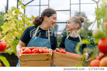 mother and daughter are gardening in the greenhouse 117167166