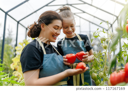 mother and daughter are gardening in the greenhouse 117167169