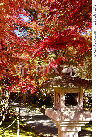 秋天的山本不動尊、錦州、楓樹（福島縣棚倉町） 117167172