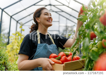 woman is gardening woman is gardening 117167191
