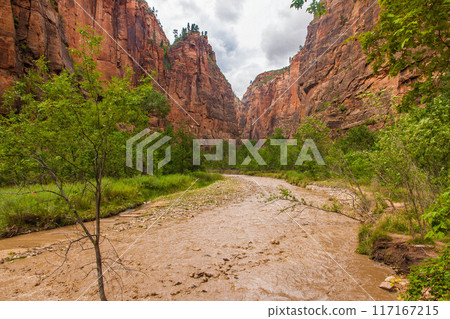 Zion National Park Riverside walk 117167215