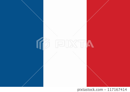 The flag of France. Flag icon. A rectangular flag. Vector illustration. 117167414