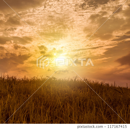 草原景觀 117167415