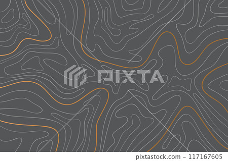 The stylized height of the topographic map contour in lines and contours. The concept of a conditional geography scheme and the terrain path.Vector	 117167605
