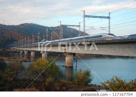Sanyo Shinkansen 500 series (when it was a 16-car train) crossing the autumn-covered Yoshii River 117167704