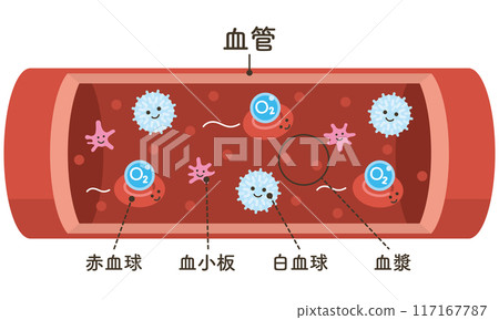 流經血管的細胞：攜帶 O2（氧氣）的紅血球（附文字） 117167787