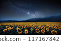 與夏天銀河和滿天星斗的天空的向日葵領域 117167842