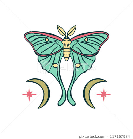 Luna moth hand drawn illustration isolated on white 117167984
