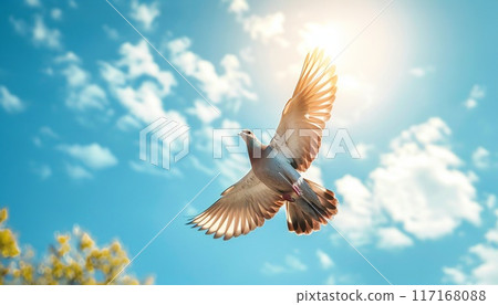 A bird flying in the sky, spreading its wings 117168088