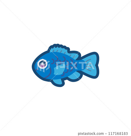 Illustration of a cute blue damselfish Illustration of a cute blue damselfish 117168183