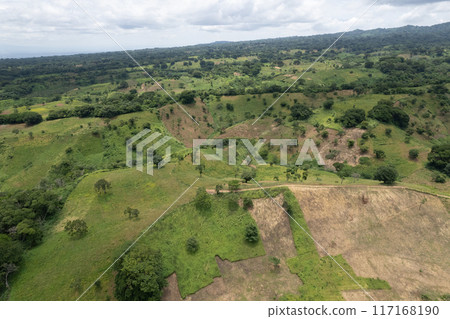 Green meadows on hills for agriculture 117168190