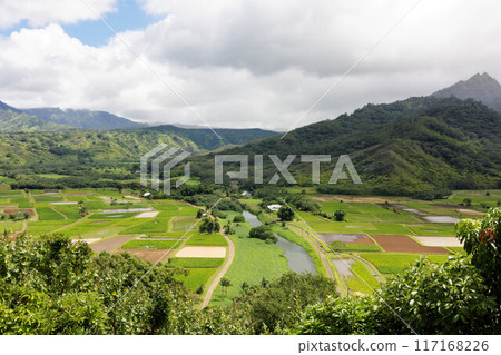 Hanalei Valley Lookout, Kauai Hanalei Valley Lookout, Kauai 117168226