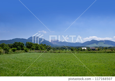 Fresh greenery on the Handa Plateau and the Tokuju Mountains Fresh greenery on the Handa Plateau and the Tokuju Mountains 117168507