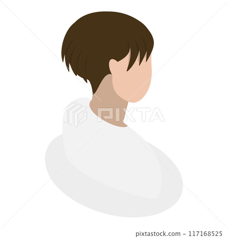3D Isometric Flat Vector Set of Lady Hairstyles, Rear View. Item 2 3D Isometric Flat Vector Set of Lady Hairstyles, Rear View. Item 2 117168525