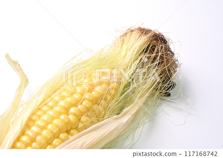Corn silk part Corn silk part 117168742
