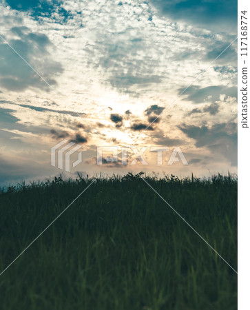 Prairie landscape 117168774