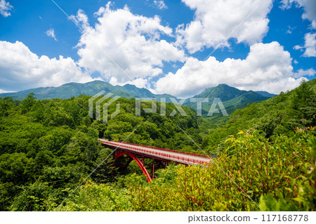 八岳高原線/東澤大橋 八岳高原線/東澤大橋 117168778