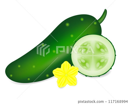 A whole cucumber and a circle with a flower on a white background. A whole cucumber and a circle with a flower on a white background. 117168994