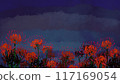 A cluster amaryllis of night 117169054