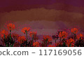 A cluster amaryllis of dusk 117169056