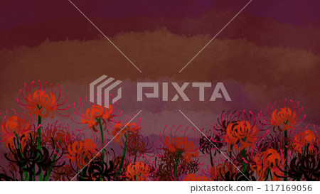 A cluster amaryllis of dusk 117169056