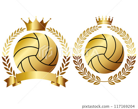 排球徽章 2 種設定黃金 117169204