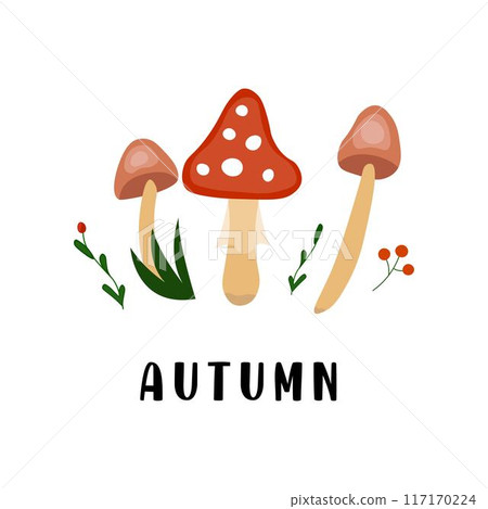 Autumn style doodle illustration postcard with mushrooms 117170224