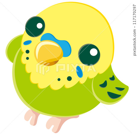 Vector illustration icon of a cute budgerigar looking up / green Vector illustration icon of a cute budgerigar looking up / green 117170297