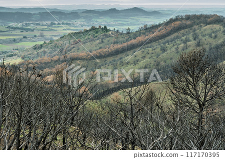 Scorched Hills and Valleys After Wildfire in Legarda, Navarra Scorched Hills and Valleys After Wildfire in Legarda, Navarra 117170395