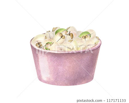 Lotus Seed heap in ceramic pink bowl. White peeled and green unpeeled nuts. Pile of raw tasty vegan food. Watercolor illustration. For kitchen inspired designs, cooking blogs, menu Lotus Seed heap in ceramic pink bowl. White peeled and green unpeeled nuts. Pile of raw tasty vegan food. Watercolor illustration. For kitchen inspired designs, cooking blogs, menu 117171133