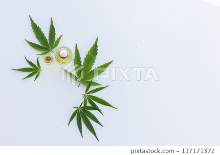 Small bottles with cannabis oil between fresh cannabis leaves. Top view. On a white background with copy space. Small bottles with cannabis oil between fresh cannabis leaves. Top view. On a white background with copy space. 117171372