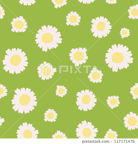 Vector seamless pattern with camomiles on light green background Vector seamless pattern with camomiles on light green background 117171476