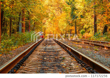 Autumn forest through which an old tram rides (Ukraine) Autumn forest through which an old tram rides (Ukraine) 117172256