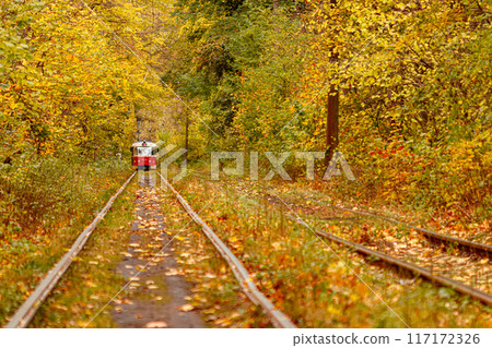 Autumn forest through which an old tram rides (Ukraine) 117172326