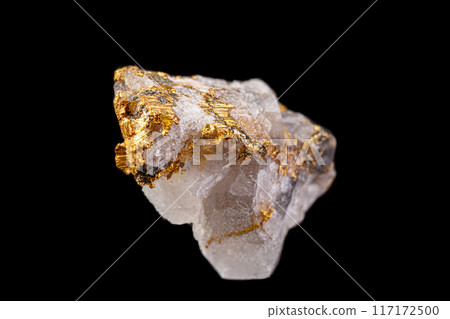 macro mineral stone gold in the rock on a black background 117172500